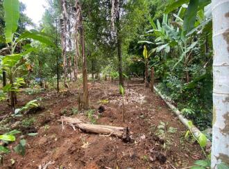 Residential Land for Sale in Ernakulam, Aluva, Kanjoor, Kallumkootam Road