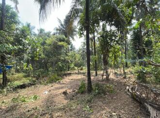 Residential Land for Sale in Thrissur, Thrissur, Edakkalathur, st Mary's Church edakalathoor