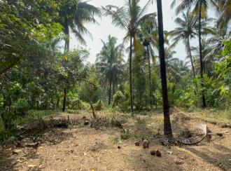 Residential Land for Sale in Thrissur, Thrissur, Edakkalathur, st Mary's Church edakalathoor
