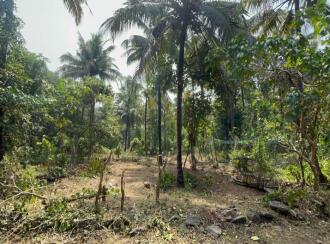 Residential Land for Sale in Thrissur, Thrissur, Edakkalathur, st Mary's Church edakalathoor