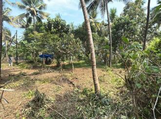 Residential Land for Sale in Thrissur, Thrissur, Edakkalathur, st Mary's Church edakalathoor