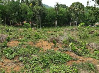 വാസയോഗ്യമായ ഭൂമി വില്പനയ്ക്ക് Pathanamthitta, Kozhencherry, Ayroor, Cherukolpuzha, Kozhenchery, Ranni, Kumbanadu
