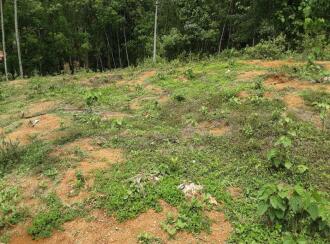 വാസയോഗ്യമായ ഭൂമി വില്പനയ്ക്ക് Pathanamthitta, Kozhencherry, Ayroor, Cherukolpuzha, Kozhenchery, Ranni, Kumbanadu