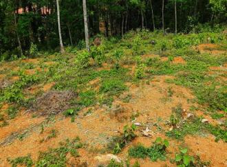 വാസയോഗ്യമായ ഭൂമി വില്പനയ്ക്ക് Pathanamthitta, Kozhencherry, Ayroor, Cherukolpuzha, Kozhenchery, Ranni, Kumbanadu
