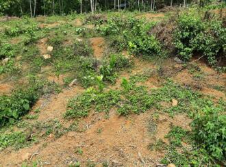 വാസയോഗ്യമായ ഭൂമി വില്പനയ്ക്ക് Pathanamthitta, Kozhencherry, Ayroor, Cherukolpuzha, Kozhenchery, Ranni, Kumbanadu