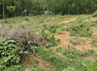 വാസയോഗ്യമായ ഭൂമി വില്പനയ്ക്ക് Pathanamthitta, Kozhencherry, Ayroor, Cherukolpuzha, Kozhenchery, Ranni, Kumbanadu