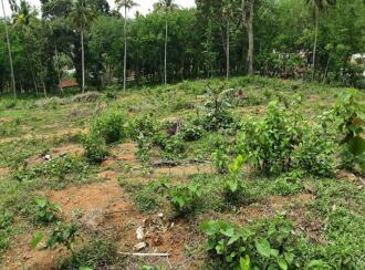 വാസയോഗ്യമായ ഭൂമി വില്പനയ്ക്ക് Pathanamthitta, Kozhencherry, Ayroor, Cherukolpuzha, Kozhenchery, Ranni, Kumbanadu