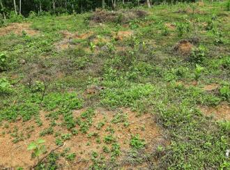 വാസയോഗ്യമായ ഭൂമി വില്പനയ്ക്ക് Pathanamthitta, Kozhencherry, Ayroor, Cherukolpuzha, Kozhenchery, Ranni, Kumbanadu