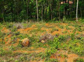 വാസയോഗ്യമായ ഭൂമി വില്പനയ്ക്ക് Pathanamthitta, Kozhencherry, Ayroor, Cherukolpuzha, Kozhenchery, Ranni, Kumbanadu