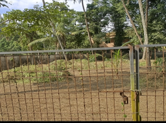 Residential Land for Sale in Thrissur, Kodungallur, Methala, Katholil lane
