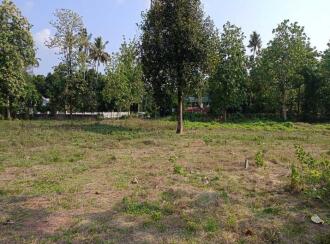 Residential Land for Sale in Thrissur, Koratty, Koratty, Nalukettu Road
