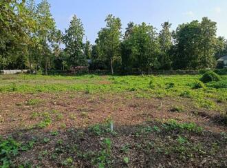 Residential Land for Sale in Thrissur, Koratty, Koratty, Nalukettu Road