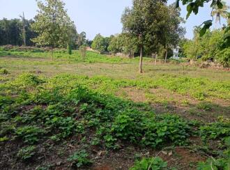 Residential Land for Sale in Thrissur, Koratty, Koratty, Nalukettu Road