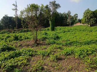 Residential Land for Sale in Thrissur, Koratty, Koratty, Nalukettu Road