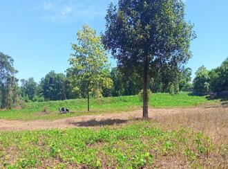 Residential Land for Sale in Thrissur, Koratty, Koratty, Nalukettu Road