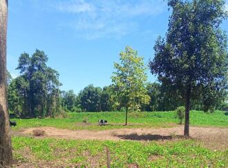 Residential Land for Sale in Thrissur, Koratty, Koratty, Nalukettu Road