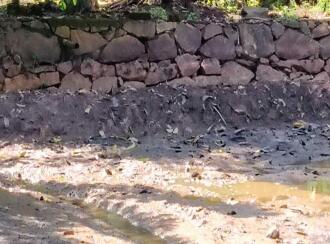 Agricultural Land for Sale in Alleppey, Ambalapuzha, Ambalapuzha, Thakazhy