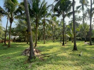 Residential Land for Sale in Thrissur, Guruvayur, Kottappadi, Iringapram