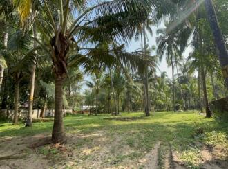 Residential Land for Sale in Thrissur, Guruvayur, Kottappadi, Iringapram