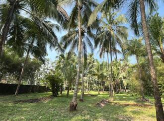 Residential Land for Sale in Thrissur, Guruvayur, Kottappadi, Iringapram