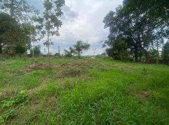 Residential Land for Sale in Ernakulam, Kakkanad, Csez, Near Cochin Special Economic Zone
