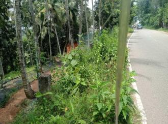 Residential Land for Sale in Trivandrum, Nedumangad, Aryanad, Pezhummoodu- Aryanad