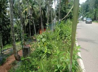 Residential Land for Sale in Trivandrum, Nedumangad, Aryanad, Pezhummoodu- Aryanad