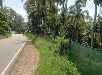 Residential Land for Sale in Trivandrum, Nedumangad, Aryanad, Pezhummoodu- Aryanad