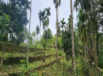 Residential Land for Sale in Kottayam, Erattupetta, Maniyamkunnu, Sacred Heart Church