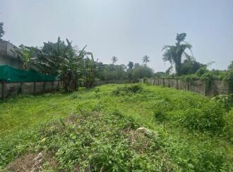Residential Land for Sale in Ernakulam, Tripunithura, Udayamperoor, Near Junior Basic school