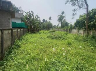 Residential Land for Sale in Ernakulam, Tripunithura, Udayamperoor, Near Junior Basic school
