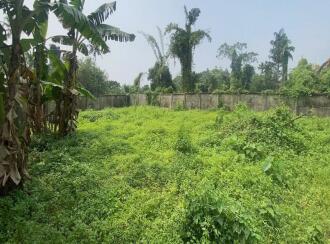 Residential Land for Sale in Ernakulam, Tripunithura, Udayamperoor, Near Junior Basic school