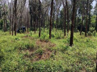 Residential Land for Sale in Palakkad, Vadakkencherry, Palakuzhy