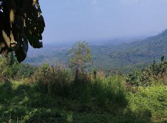 Residential Land for Sale in Palakkad, Vadakkencherry, Palakuzhy