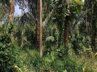 Residential Land for Sale in Palakkad, Vadakkencherry, Palakuzhy