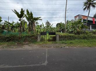 Residential Land for Sale in Pathanamthitta, Kozhencherry, Cherukolpuzha, Kalalayam Auditorium