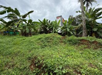 Residential Land for Sale in Pathanamthitta, Kozhencherry, Cherukolpuzha, Kalalayam Auditorium