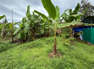 Residential Land for Sale in Pathanamthitta, Kozhencherry, Cherukolpuzha, Kalalayam Auditorium