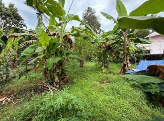 Residential Land for Sale in Pathanamthitta, Kozhencherry, Cherukolpuzha, Kalalayam Auditorium