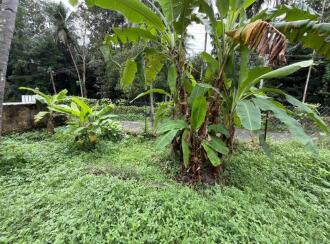 Residential Land for Sale in Pathanamthitta, Kozhencherry, Cherukolpuzha, Kalalayam Auditorium