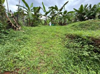 Residential Land for Sale in Pathanamthitta, Kozhencherry, Cherukolpuzha, Kalalayam Auditorium