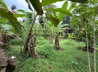 Residential Land for Sale in Pathanamthitta, Kozhencherry, Cherukolpuzha, Kalalayam Auditorium