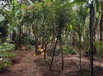 Residential Land for Sale in Trivandrum, Thiruvananthapuram, Mukolakkal, Amabalathunada