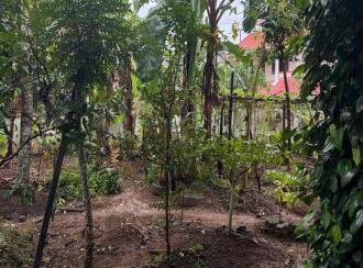 Residential Land for Sale in Trivandrum, Thiruvananthapuram, Mukolakkal, Amabalathunada
