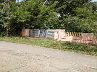Residential House Villa for Sale in Palakkad, Ottappalam, Vaniyamkulam