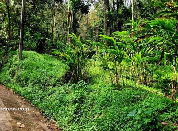 Residential Land for Sale