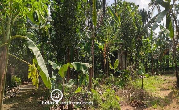 Residential Land for Sale