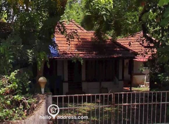Residential House Villa for Rent