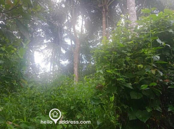 Residential Land for Sale