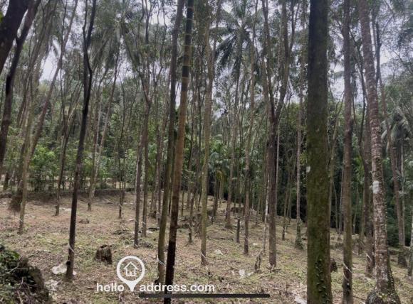 Residential Land for Sale
